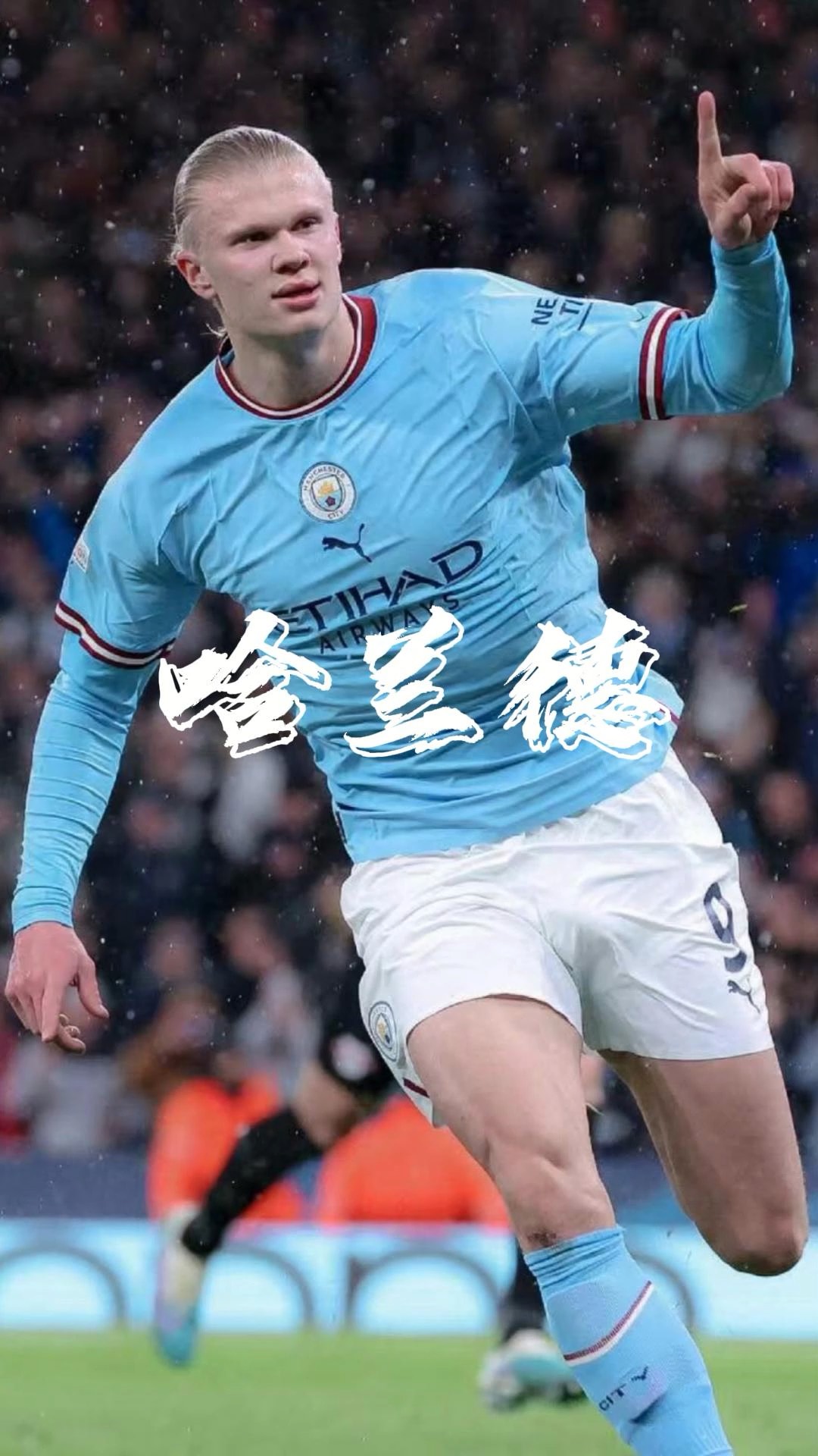 弥补体能波 弥补体能波