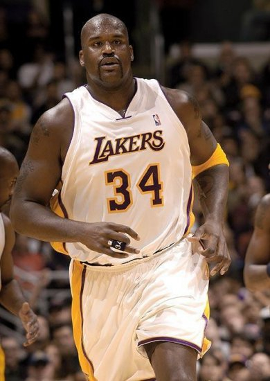 综合体育积 综合体育积